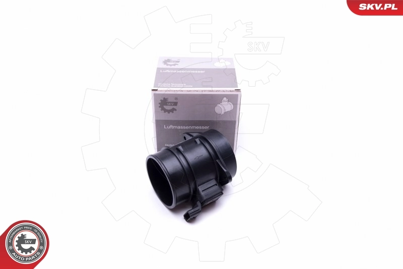 Mass Air Flow Sensor